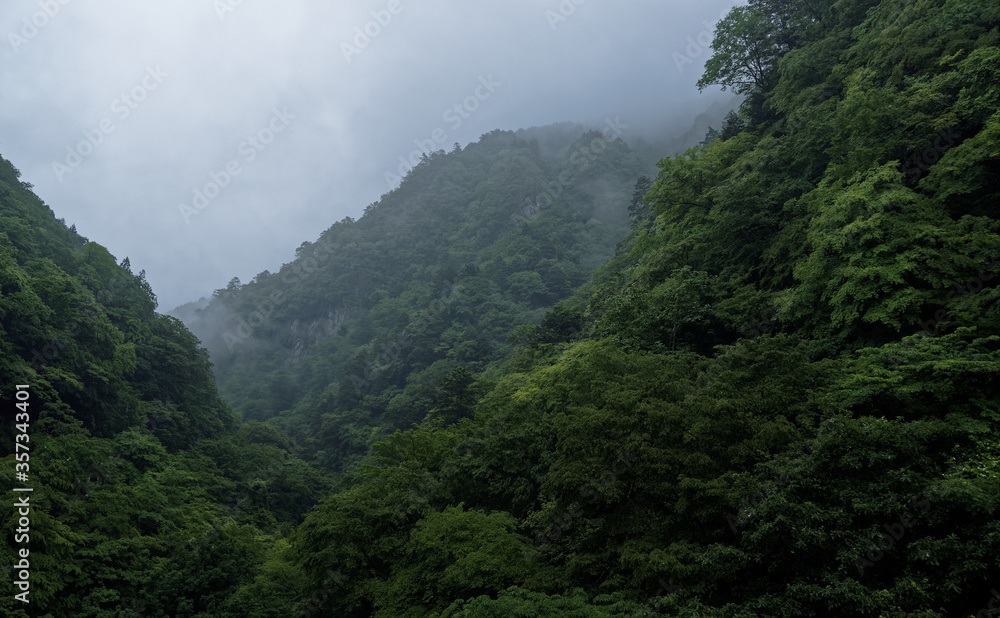 Steep forested mountains rising into mist and a low overcast sky