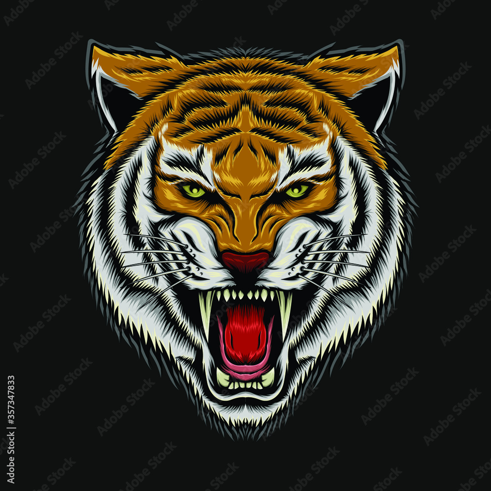 Tiger head illustration. Vector tiger. design for T shirt , mascot, logo team, sport, metal printing, wall art, sticker Tiger head illustration. Vector tiger. design for T shirt , mascot, logo team, sport, metal printing, wall art, sticker