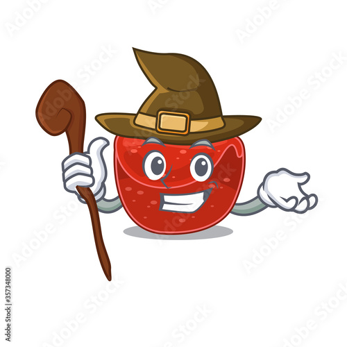 Meatloaf funny but sneaky witch cartoon character design