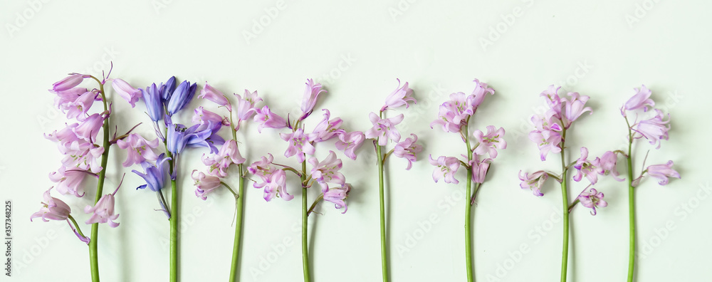 Naklejka Kompozycja z kwiatami hiacyntowymi z miejscem na kopię