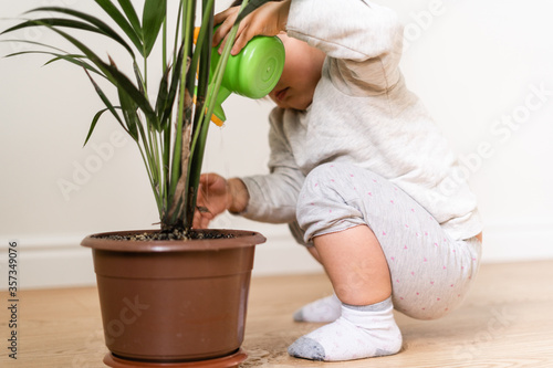 Toddler child watering home plant. CONSCIOUS ECO FRIENDLY EDUCATION.  photo