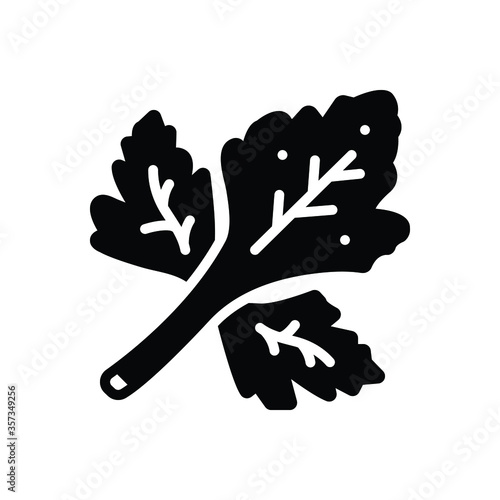 Black solid icon for coriander