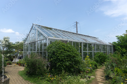 温室栽培 グリーンハウス 