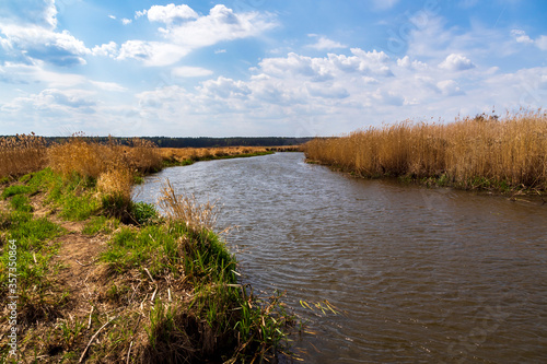 Piękna i dzika rzeka Narew, Podlasie, Polska