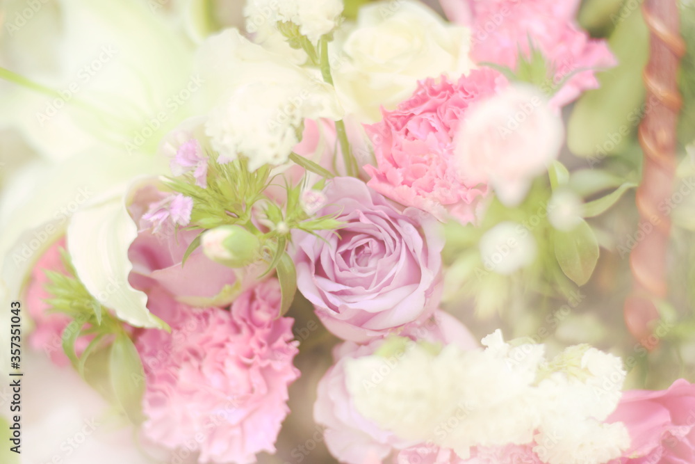 Close up beautiful Pink  rose flower bouquet