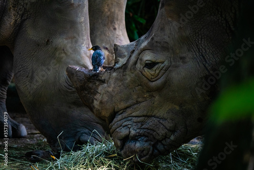 Photography Lets go for a ride