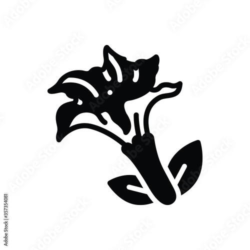 Black solid icon for datura stramonium