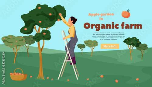 Organic Apple Garden Background