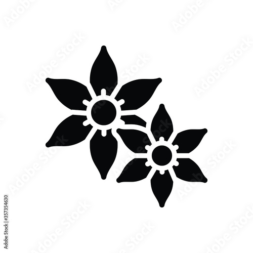 Black solid icon for jasmine