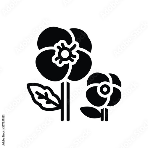 Black solid  icon for pansy