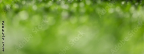 Green blurred background and sunlight © Keopaserth