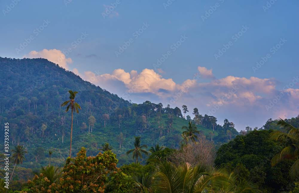 Amazing scenic view mountain tropical forest with lush tree crowns on blue evening sky background. Sunrice or sunset.