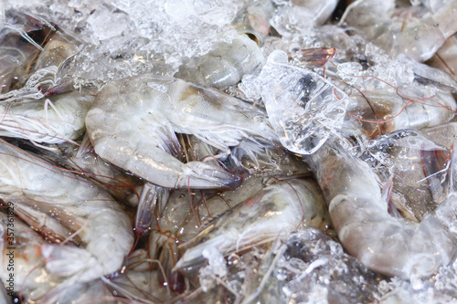 Fresh white shrimp with cold ice placed for sale in seafood market, Closeup Fresh Sea Food, Fresh shrimp in the street market in Thailand, Top view