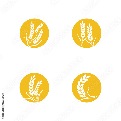 Agriculture wheat Template vector icon design