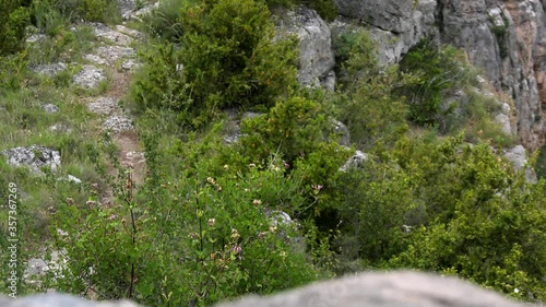 Landscape in the canyon of the river leza, la rioja, spain. Leonard's eagle's nest