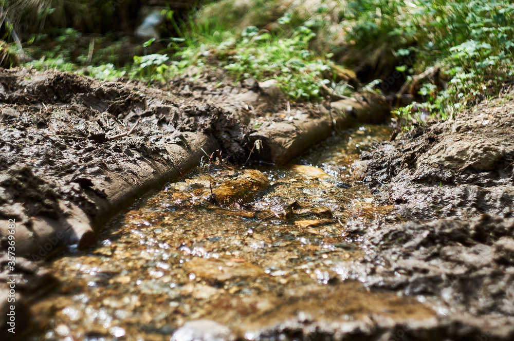 small forest stream on a Sunny day small forest stream on a Sunny day