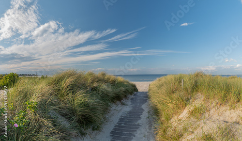 Fototapeta Naklejka Na Ścianę i Meble -  Dunes on the beach of the Baltic Sea  by Sehlendorfer Strand  Schleswig-Holstein, Germany, Dune landscape on the beach of the Baltic Sea 