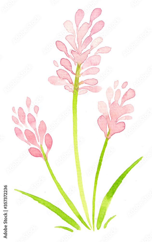ピンクの花 ピンクの花