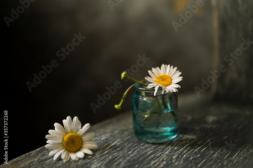 White daisy flowers in glass vase on wooden rustic chair, dark gray background. Vintage studio photography. Greeting card, natural light. Selective focus, copy space. Minimalism concept. Dark mood. © Diana
