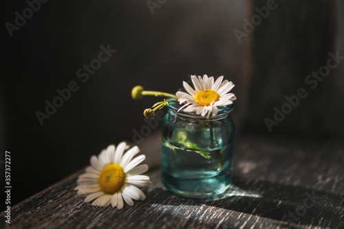 White daisy flowers in glass vase on wooden rustic chair, dark gray background. Vintage studio photography. Greeting card, natural light. Selective focus, copy space. Minimalism concept. Dark mood. © Diana