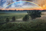 Rainbow over a meadow in the spring