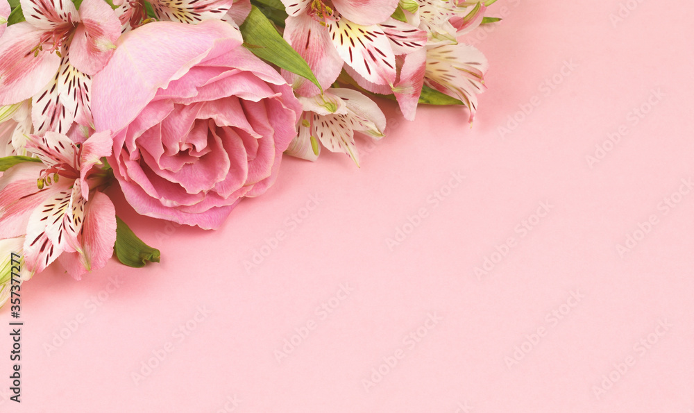 custom made wallpaper toronto digitalBeautiful pink rose and alstroemeria flowers in a corner on coral background