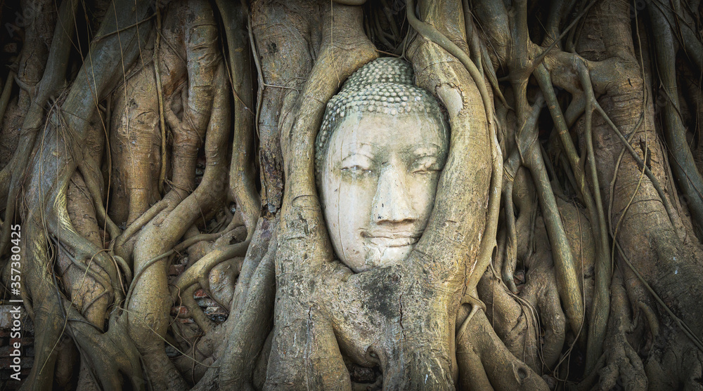 Head of Buddha statue in Wat Mahathat temple, Ayutthaya, Thailand.