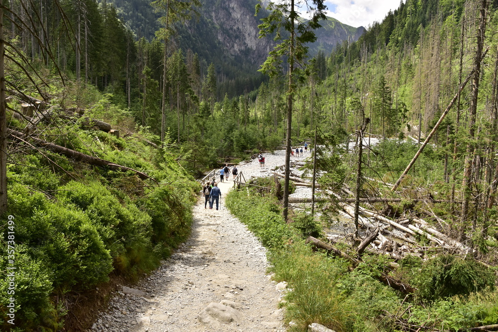 Turyści na szlakach w Tatrach, wakacje w górach - obrazy, fototapety, plakaty 