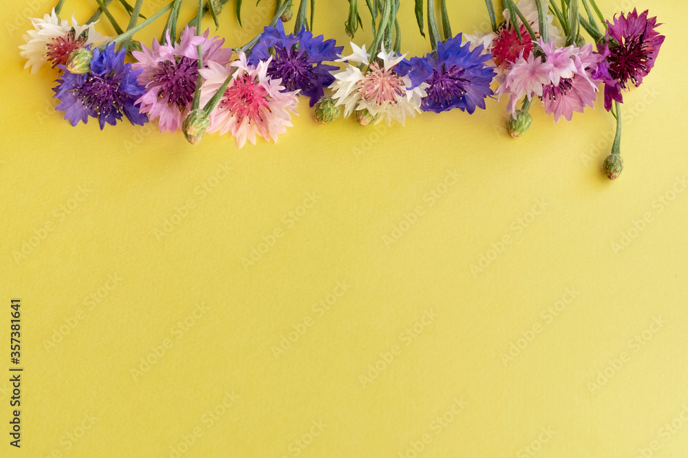Wildflowers cornflowers with a bouquet on a yellow background. Yellow background for text with flowers.