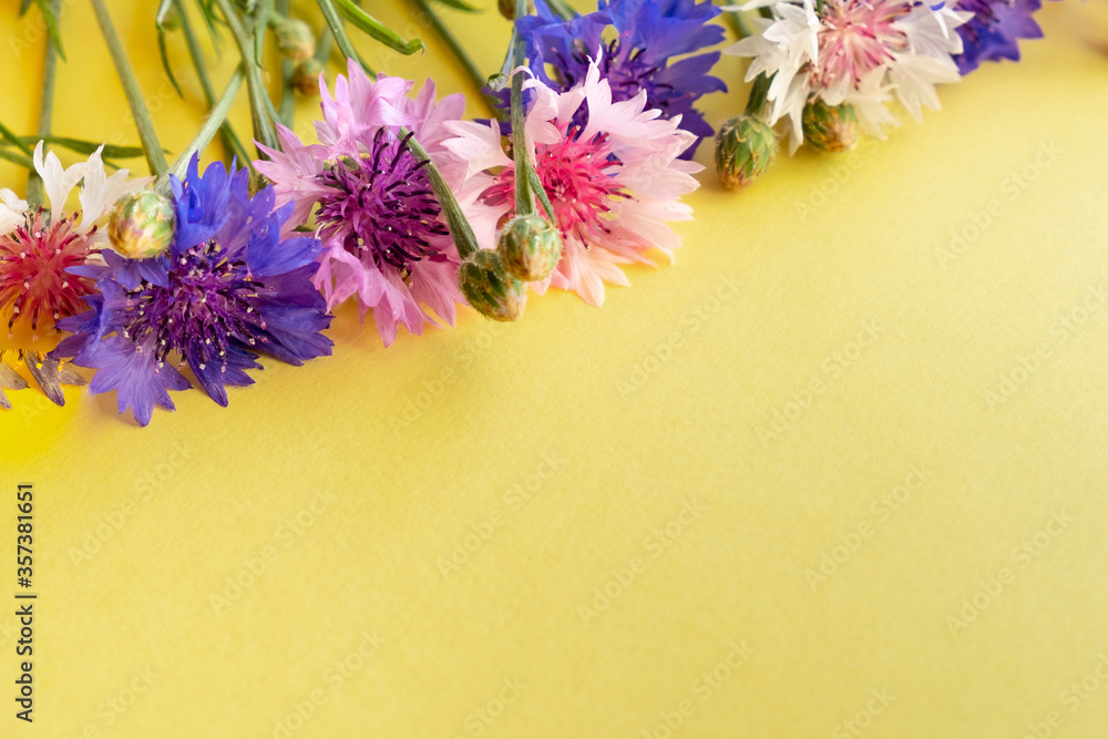 Wildflowers cornflowers with a bouquet on a yellow background. Yellow background for text with flowers.