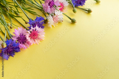 Wildflowers cornflowers with a bouquet on a yellow background.  Yellow background for text with flowers.