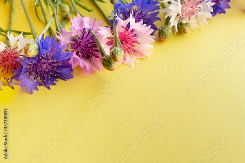 Obraz na płótnie Wildflowers cornflowers with a bouquet on a yellow background. Yellow background for text with flowers. w salonie