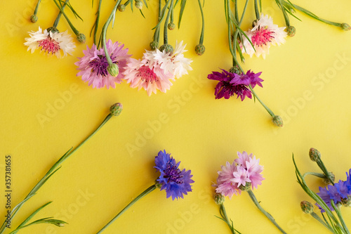 Obraz na płótnie Wildflowers cornflowers with a bouquet on a yellow background. Yellow background for text with flowers. w salonie
