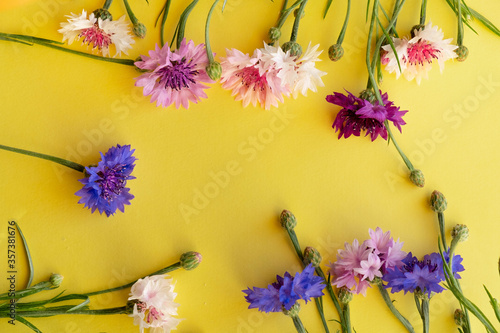 Obraz na płótnie Wildflowers cornflowers with a bouquet on a yellow background. Yellow background for text with flowers. w salonie