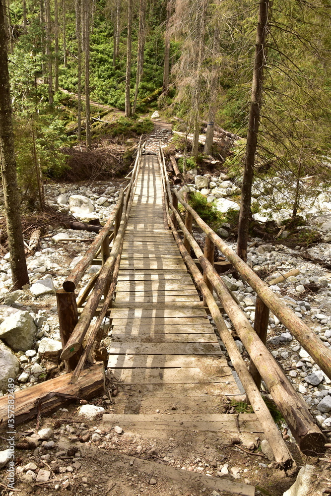 Fototapeta premium Waksmundzka Dolina, Tatry, Tatrzański Park Narodowy