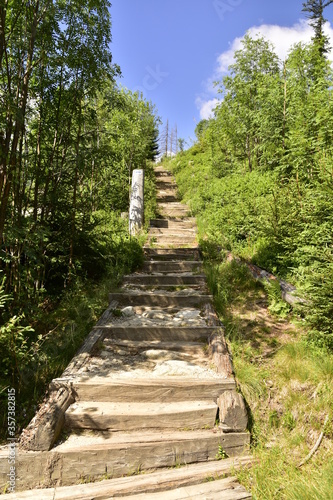 Fototapeta Naklejka Na Ścianę i Meble -  Waksmundzka Dolina, Tatry, Tatrzański Park Narodowy