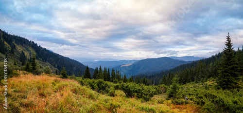 Mountains forrest panorama, evening with beautiful clouds and fir trees scene. Autumn background. Trekking and hiking summer travel nature landscape background. © GreenArt Photography