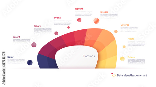 Vector pie chart infographic template in the form of abstract shape divided by nine parts