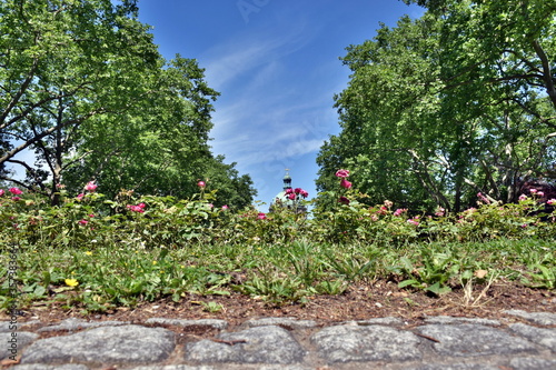 Kuppel der Einsegnungshalle auf dem Freiburger Hauptfriedhof hinter Blüten