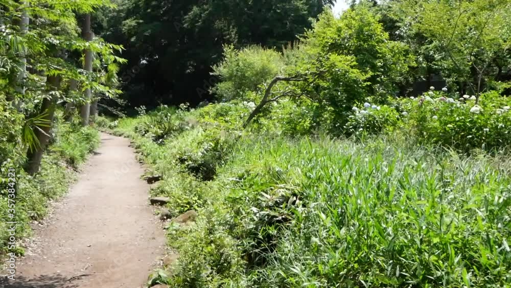 のどかな公園の道 のどかな公園の道
