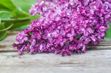 background with lilac, flowering purple lilac, sprig of purple lilac on a wooden background, lilac flowers
