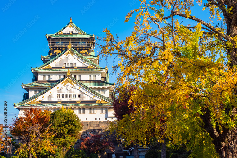 Japan. Samurai castle in Osaka. A white castle against a blue sky. Autumn in Osaka. Sights Of Japan. Samurai castle and autumn tree. Travel to East Asia. Architecture Of Japan. Japanese history. Japan. Samurai castle in Osaka. A white castle against a blue sky. Autumn in Osaka. Sights Of Japan. Samurai castle and autumn tree. Travel to East Asia. Architecture Of Japan. Japanese history.