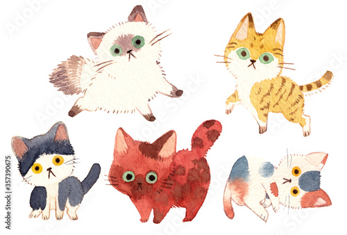 こねこたち