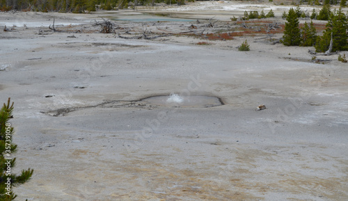 Late Spring in Yellowstone National Park: Orby Geyser Spouts in the Foreground with Blue Opalescent Springs Beyond in the Back Basin Area of Norris Geyser Basin