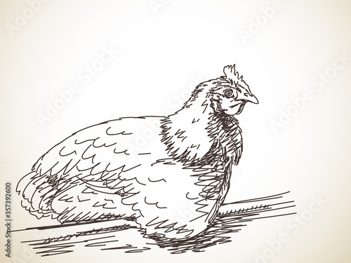 hen