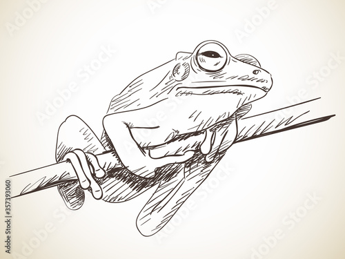 frog