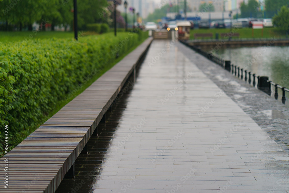 Photographyof the empty road in Ostankino public park near the Pond.  RAiny day in Moscow, coronavirus pandemic.