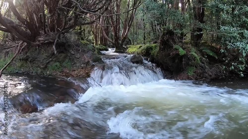 waterfall in the forest. Tarkine region Tasmania  photo