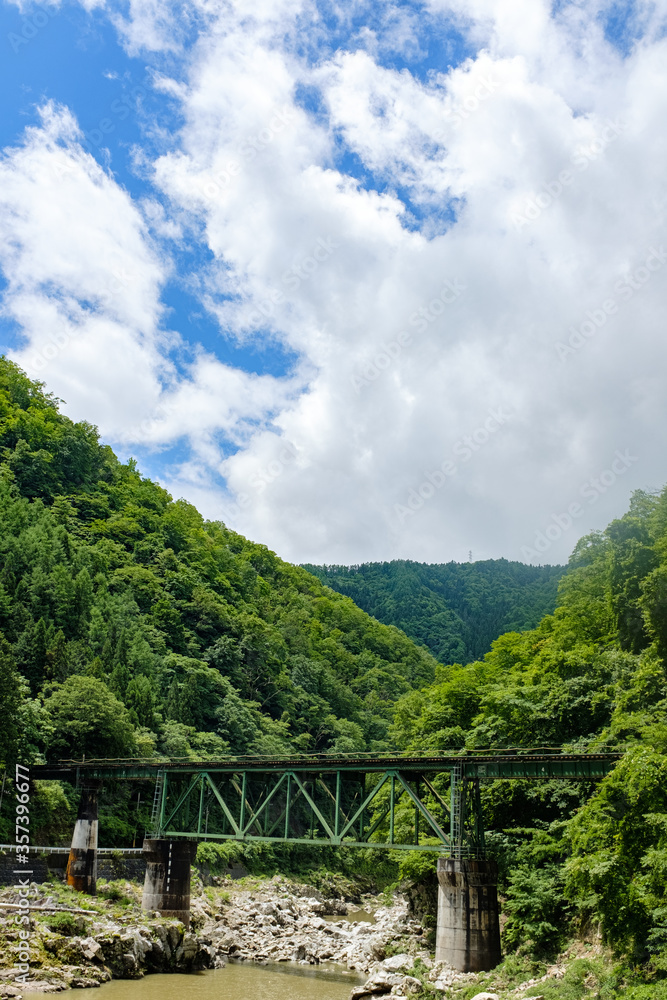 高山本線 宮川にかかる鉄橋と新緑の風景（縦構図）
