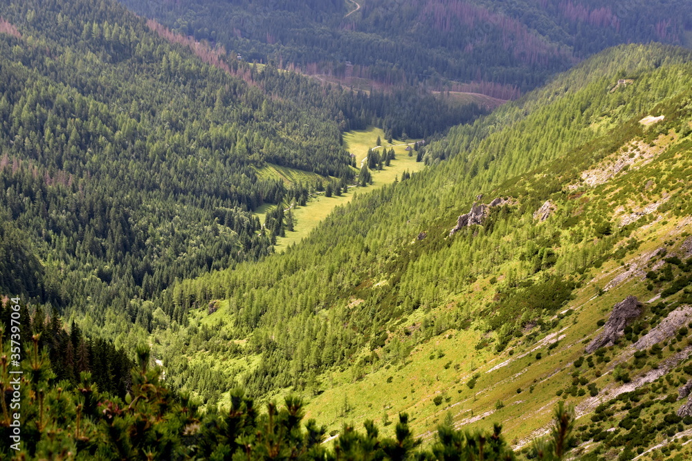 Dolina Jaworzynki, Tatry, Tatrzański Park Narodowy, lato w Tatrach 